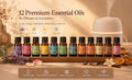 12 Premium Essential Oils Set  For Humidifiers & Diffusers